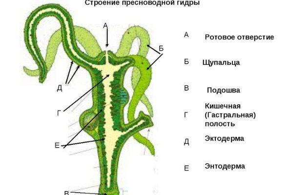 Ссылки кракен 2024