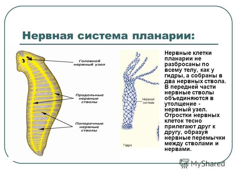 Кракен площадка kr2web in