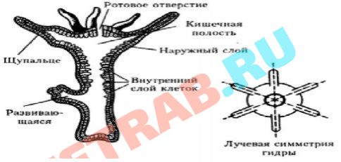 Кракен онион kraken014 com